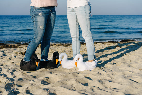 Zwei Personen am Strand tragen Schwan Hausschuhe